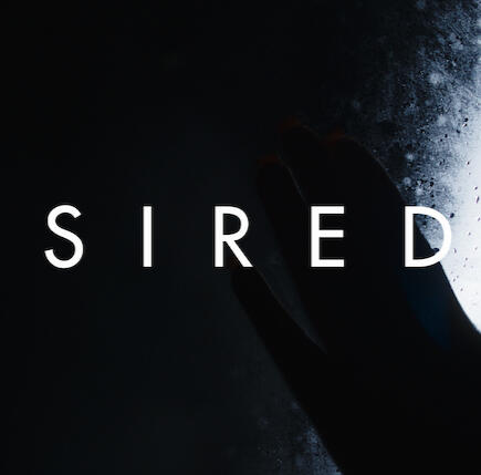 Camera Assistant | Thandiswa Nyawo